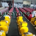 8KW ST Series Single Phase Generator Alternator Price