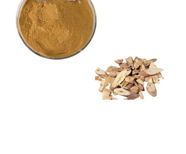 Angelica Sinensis Extract Png