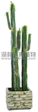 Newest biggest artificial cactus