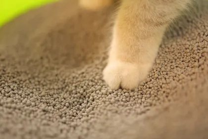 1.5mm Bentonite Cat Litter