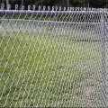 galvanized and PVC coated  chain link fences