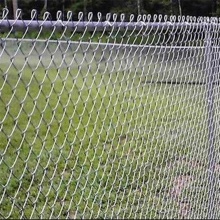 galvanized and PVC coated  chain link fences