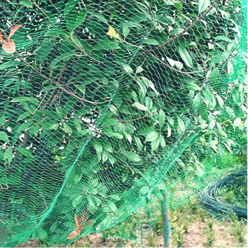 Extruded Plastic Mesh Garden Garden Netting