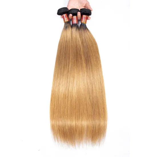 Single Donor 1B 27 Color 10A Cuticle Aligned Raw Indian Unprocessed Virgin Temple Human Bone Straight Hair