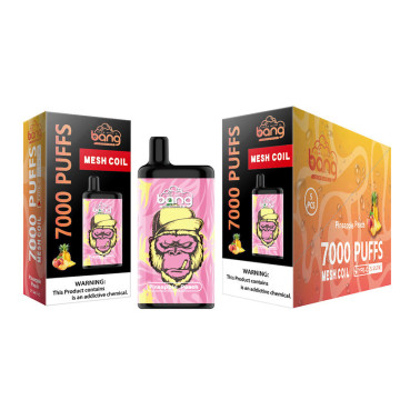 Bang 7000 Puffs Prix en gros Puff jetable