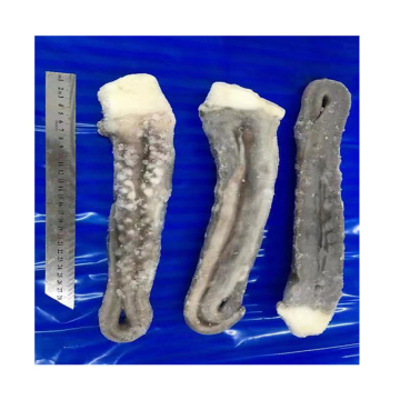 High quality fresh seafood pure frozen squid tentacles