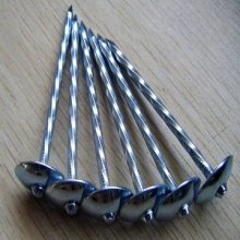 Hoogwaardige industriële constructie gemeenschappelijke nagel 2 inch