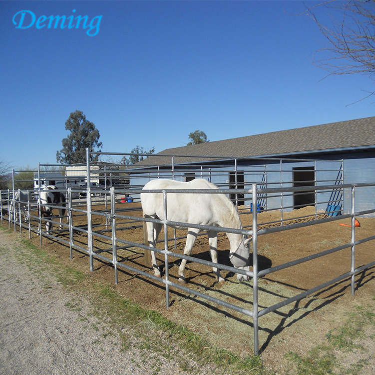 Best Selling Galvanized Horse Corral Fence