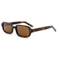 Star - Accent Rectangle Acetate Sunglasses
