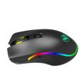 Mouse wireless di gioco ricaricabile di tipo C RGB