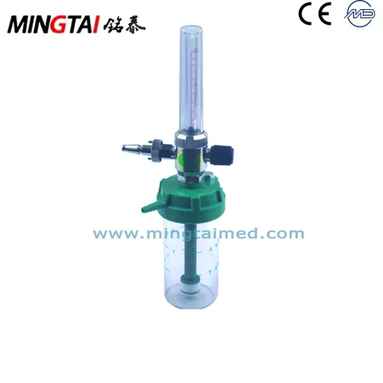 Small portable oxygen inhaler