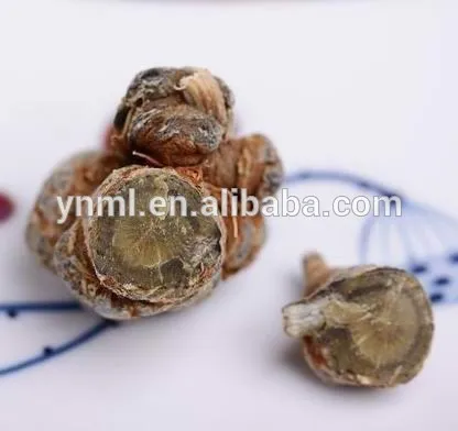 Big sanqi root pseudo-ginseng, san qi for health care, tian qi promote blood circulation, sex enhance, immunity, anti-aging