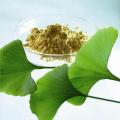 Ginkgo Biloba Extract Powder