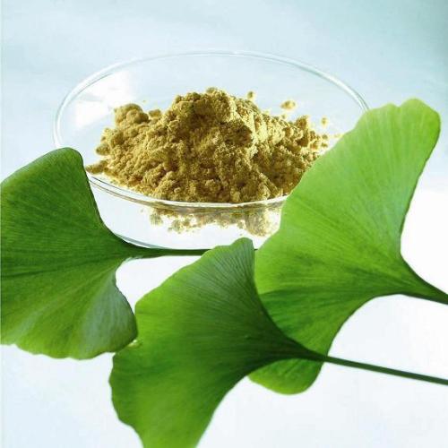 Ginkgo Biloba Extract Powder