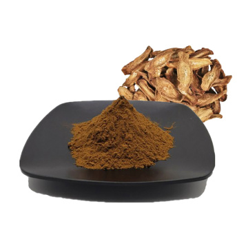 Bulk stock for Burdock Root Extract 10:1