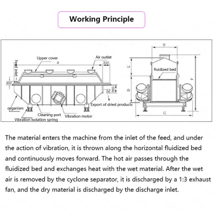 Tea Leaf and Food Industry Rotary Vacuum Fluidized Bed Dryer and Granulator