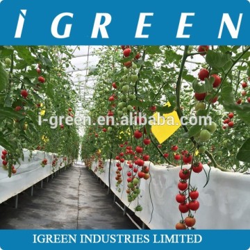 Cocopeat grow bag hydroponic systems for sale