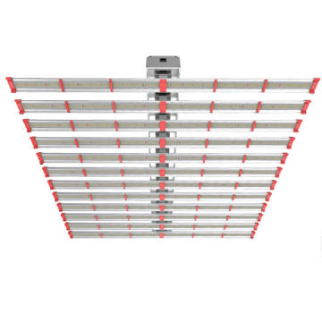 1500W LED PLATTER CORWARD CARN