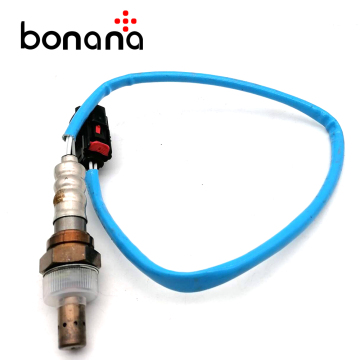 OEM BE5Z-9G444-B 리어 산소 센서 11-15 FORD F-150 TAURUS 3.5L 3.7L