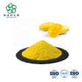 Mango Extract Powder for Smoothies, Juices & Beverages