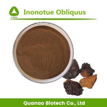 Chaga Mushroom Extract Inonotue Obliquus Polysaccharides 10%