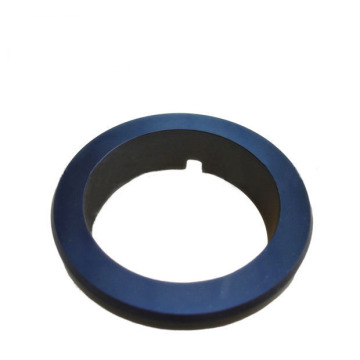 Sic Seal Ring