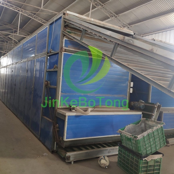 Precision Mesh Belt Dryer for Reliable Performance