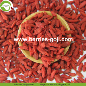 New Arrival Factory fornece frutas secas Zhongning Goji