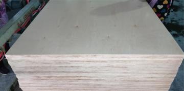 CDX plywood for exterior use