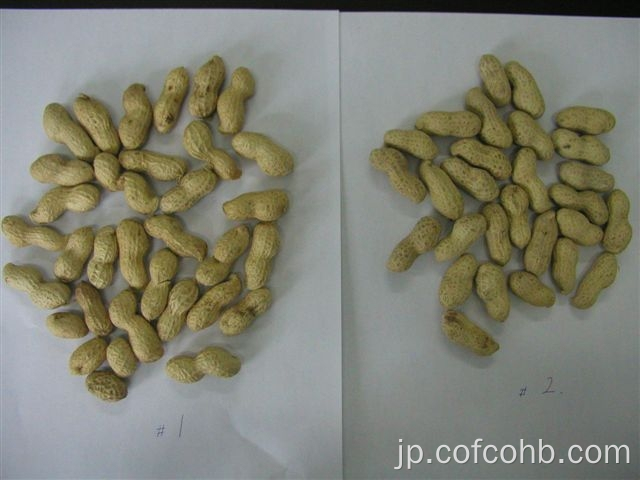 殻内のピーナッツ山東省