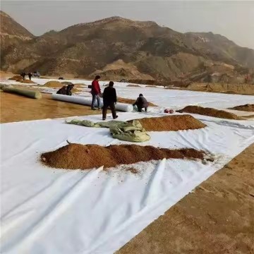 PP Nonwoven Geotextiles in Road Construction