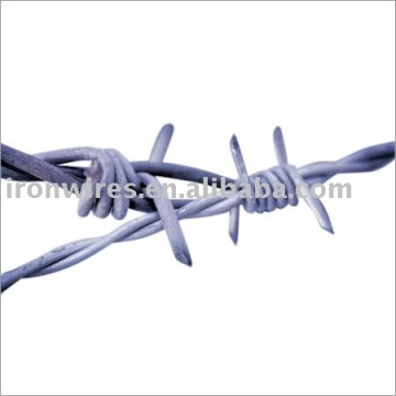 Barbed Wire