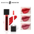 OEM Velvet Mist Lip Gloss Rich Color High Pigment Long wear Lip Gloss Makeup 12 Color Lip Makeup