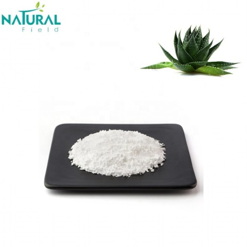 Aloe Vera Gel Freeze-dried Powder organic 200:1 aloe vera gel freeze dried powder Supplier