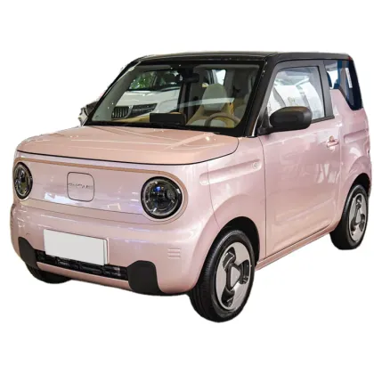Geely Panda Mini EV Car - 4 Seat Electric Vehicle