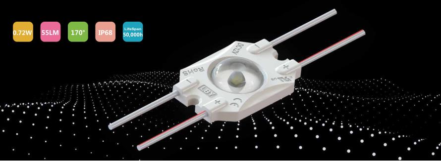 50PCS per string LED module long cascade