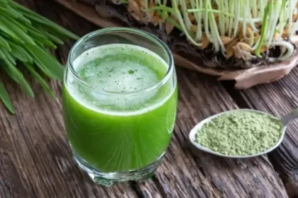Food grade Green Wheat Barley Grass juice powder
