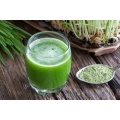 Succo di erba di orzo verde di grano verde alimentare in polvere