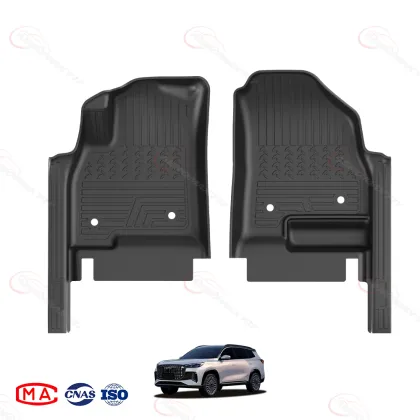 2017- Ebro S800 floor mats