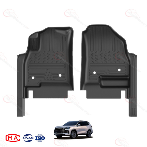 2017- Ebro S800 floor mats