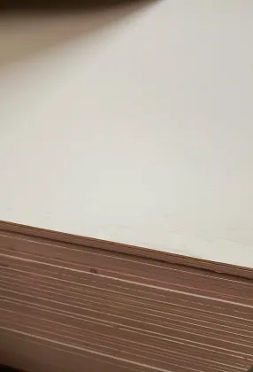 Solid wood furniture MFC board new kitchen cabinets