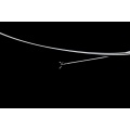 Disposable Gastroscope Biopsy Forceps 1.0mm1.2mm