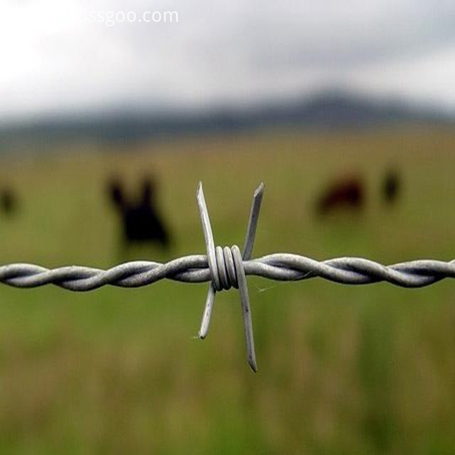 barbed wire mesh08