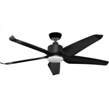 Flush mount ceiling fan with light