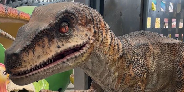 animatronic dinosaur1-2