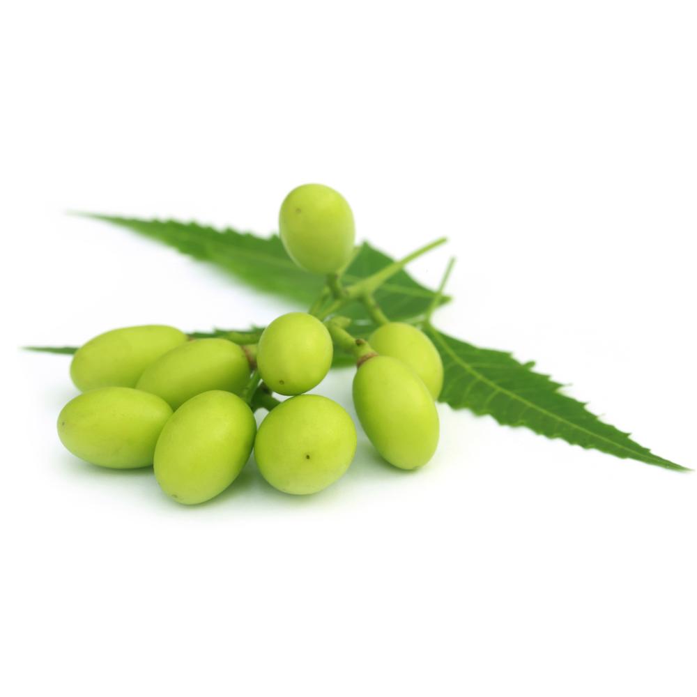 Aceite de semilla de neem para agricultura