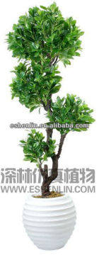 artificial lucky Tree plant/artificial green foliage plant