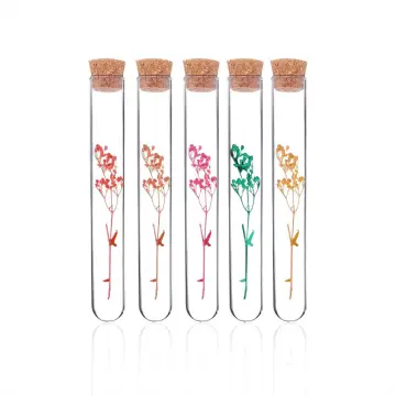 Glass Tube Vials With Bamboo Cork Lid