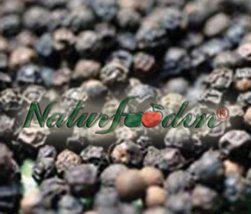 Black pepper