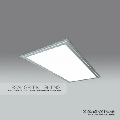 20W 196*596*10mm 1200LM LED Integrated Ceiling Panel Light Indoor Ceiling Light
